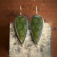 Green Fossilized Coral Earrings